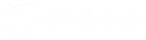 Cevli Shoes